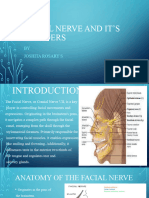 Facial Nerve and Its Disorders