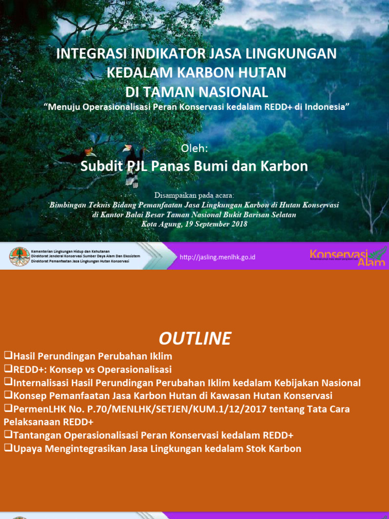 BBTNBBS | PDF | Reducing Emissions From Deforestation And Forest ...