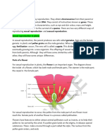 Growing Food Material