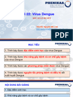 Bài 22. Dengue