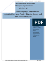 Campylobacter Isolation MLG - 41.07