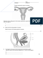 Chapter Test Reproduction