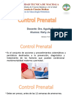Modelo Kerly Control Prenatal