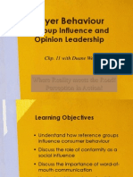 Marketing 260 Buyer Behaviour - Group Influence and Opiion Leadership - CHP 11