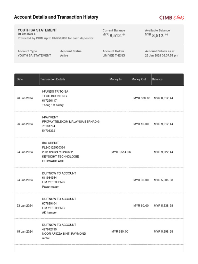 Account Details and Transaction History: Youth Sa Statement | PDF ...