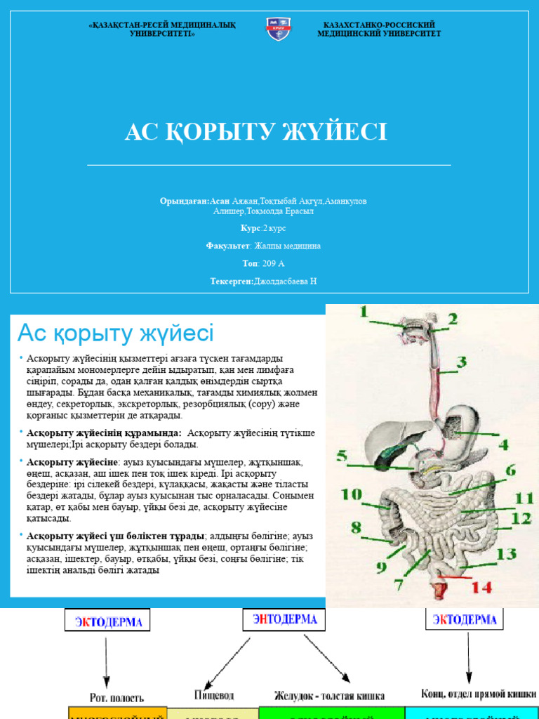 Вагинальды немесе клиторлық оргазмадан әйелдердің эякуляциясы