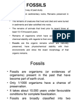 4.fossils & Type