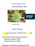 Bio Slide 3