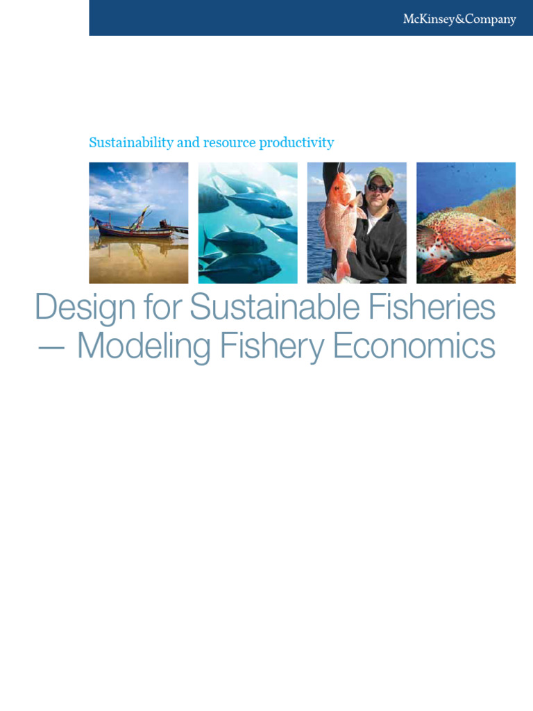 Design For Sustainable Fisheries Modeling Fishery Economics PDF
