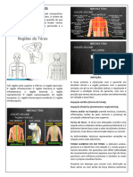 Semiologia Respiratoria