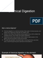 Bio Chemical Digestion in Stomach