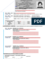 1 - Formato Curriculum Vitae