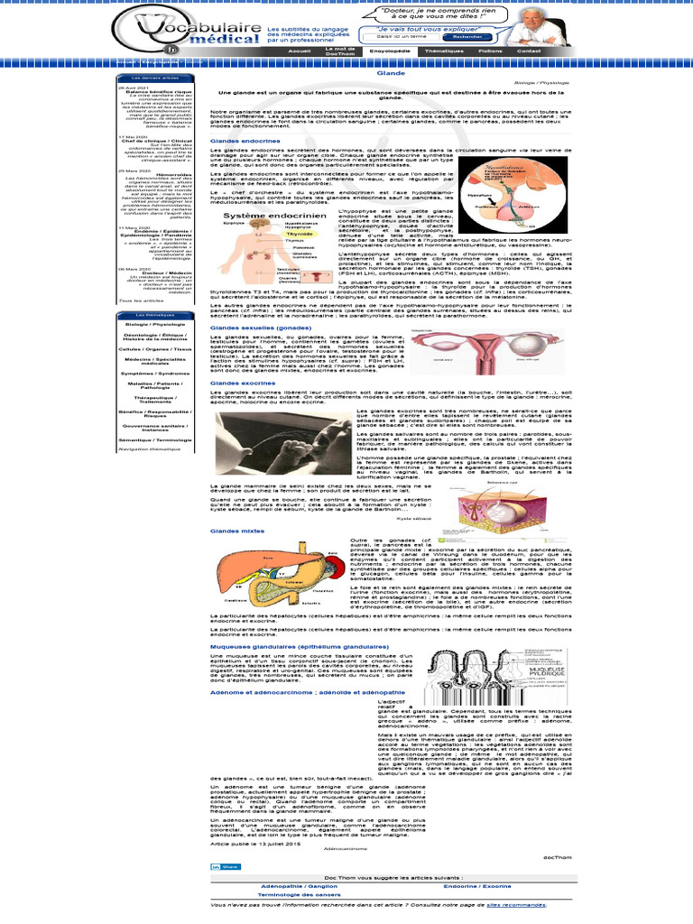 Glande - Encyclopédie Médicale | PDF