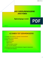 2.1.1 Mozgásrendszer-Anatómia - Csontok Ízületek-Végleges