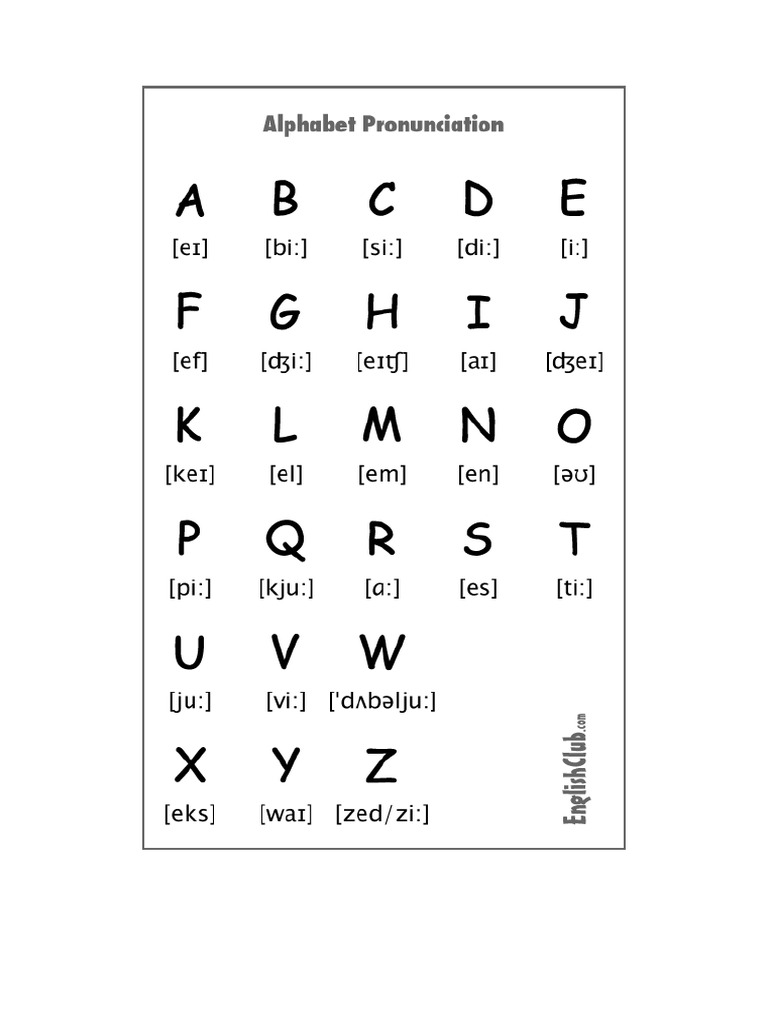MB Beginner | PDF