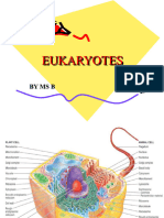 LECT 3 Eukaryotes