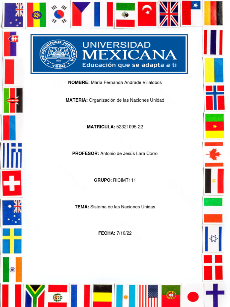 Sistema de Las Naciones Unidas | PDF | Programa de las Naciones Unidas ...