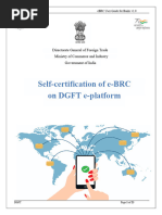 eBRC Generation Guide for Exporters | PDF | Banks | Computing