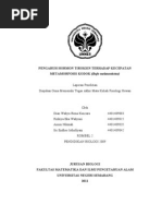 Download Laporan Pengaruh Hormon Tiroksin Terhadap Kecepatan Metamorfosis Katak 2 by Rizkiya Eka Wahyuni SN70851258 doc pdf