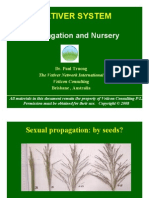 15 Truong Propagation