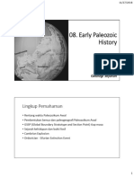 Early Paleozoic History