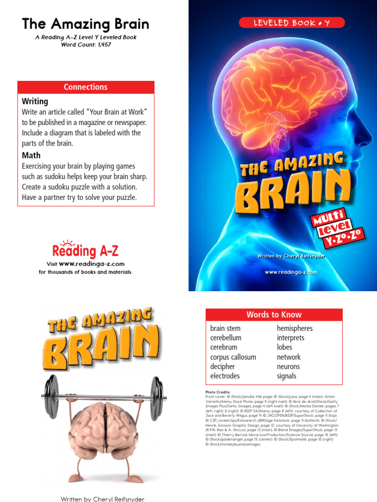 Understanding the Human Brain | PDF | Brain | Cerebral Hemisphere