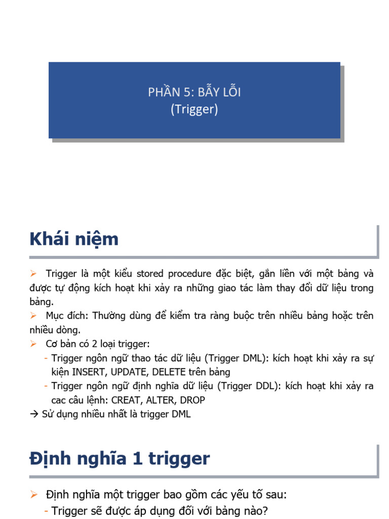 b5 Trigger H | PDF