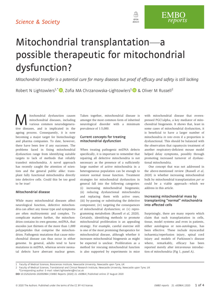 Mitohondrial Transplantation - EMBOrep2020 | PDF | Mitochondrion ...