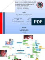 Mapa Mental Sangrado Digestivo Bajo