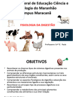 Fisiologia Da Digestão