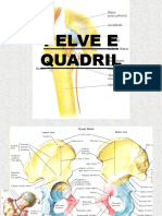 Pelve e Quadril 2016-01