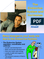 Endocrine System