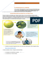 Actividades de Ciencias Naturales