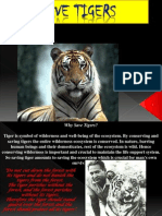 2489save Tiger