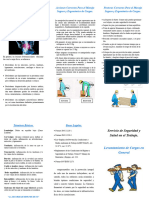 Triptico Sobre Levantamiento de Carga