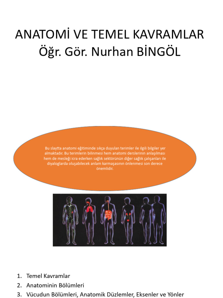 Hafta Anatomi̇ Ve Temel Kavramlar | PDF