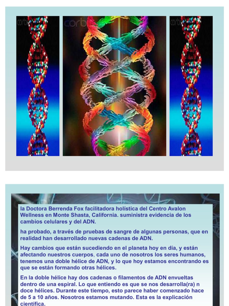Activación del ADN de 12 hebras | PDF | Inteligencia artificial ...
