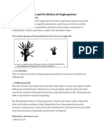 Bennettitalean Theory:: Theories of Origin and Evolution of Angiosperms