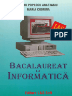 Doru Popescu Anastasiu Maria Codrina - Bacalaureat La Informatica