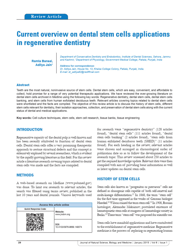 Dental Stem Cells in Regenerative Dentistry | PDF | Stem Cell | Medicine