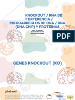 Genes Knockout RNA de Interferencia Microarreglos de DNA RNA (DNA Chip) y Proteínas