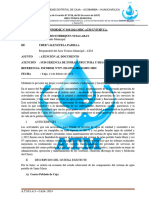 INFORME #010 Atencion Al Documento