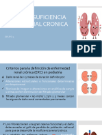 Insuficiencia Renal Cronica