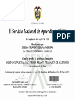 Certificado Curso Salud Ocupacional