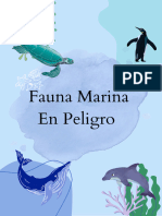 Fauna Marina en Peligro
