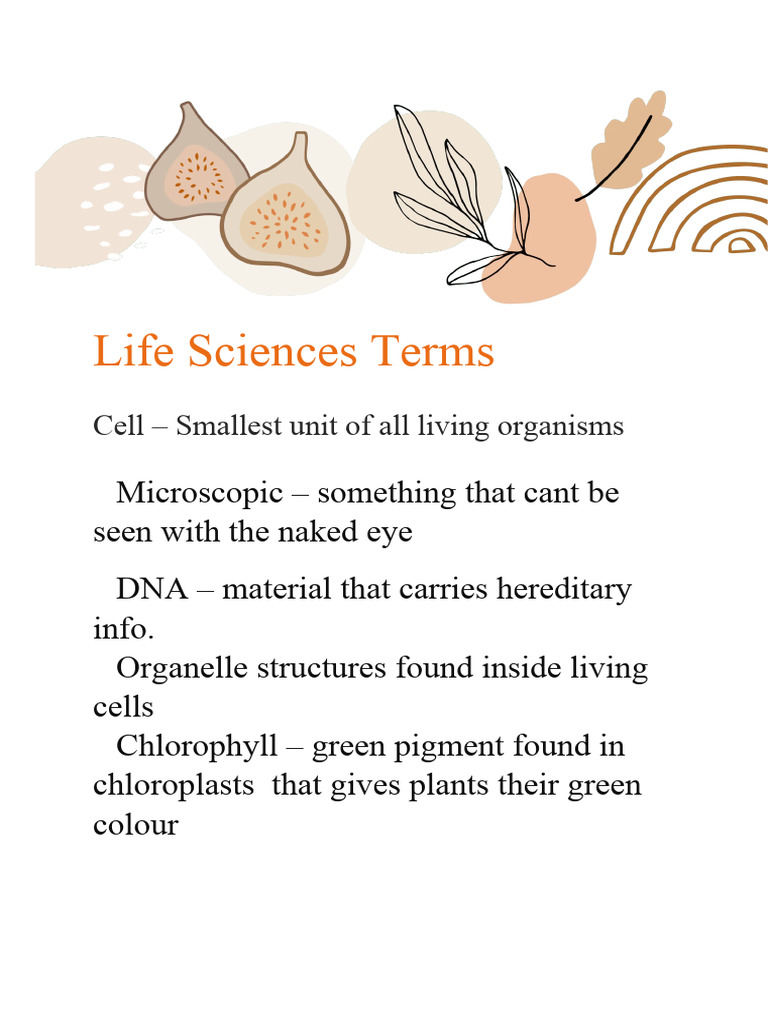Life Sciences Terms PDF
