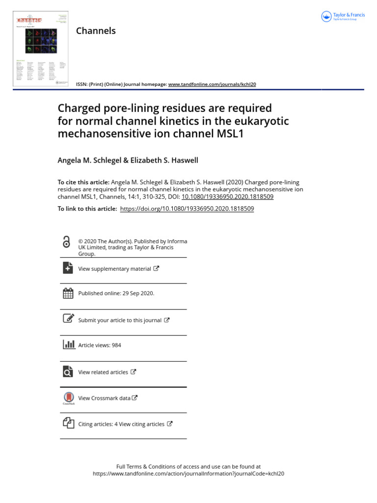 Charged Pore-Lining Residues Are Required For Normal Channel Kinetics ...