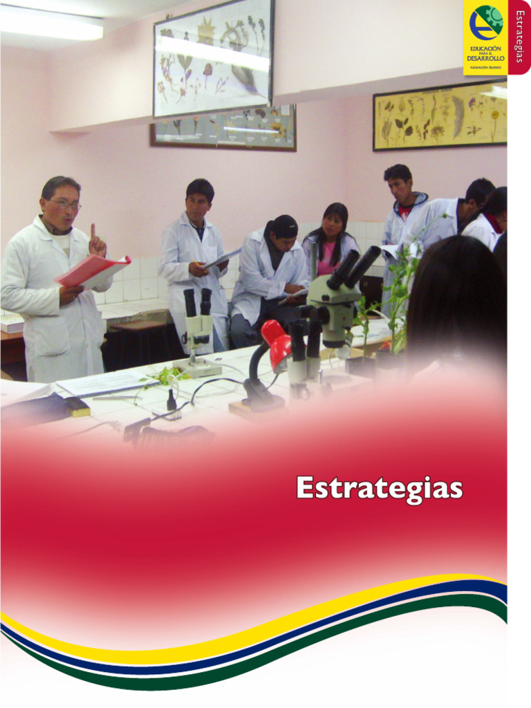 Manual de Estrategias | PDF | Evaluación | Aprendizaje