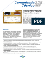 Produção de Lignosulfonato - Embrapa