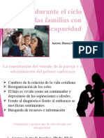 Crisis Durante El Ciclo Vital de Las Familias